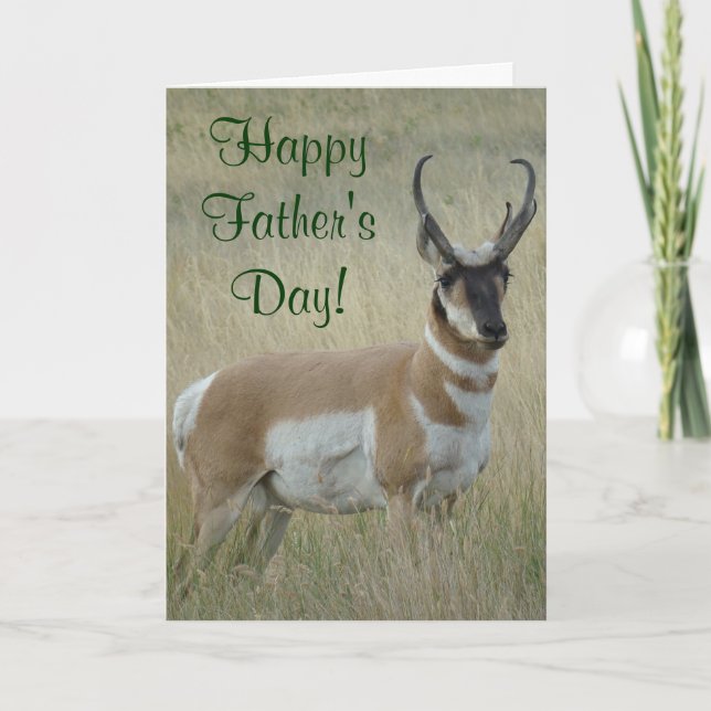 A9 Pronghorn Antelope Big Buck Card (Front)