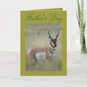 A9 Pronghorn Antelope Big Buck Card