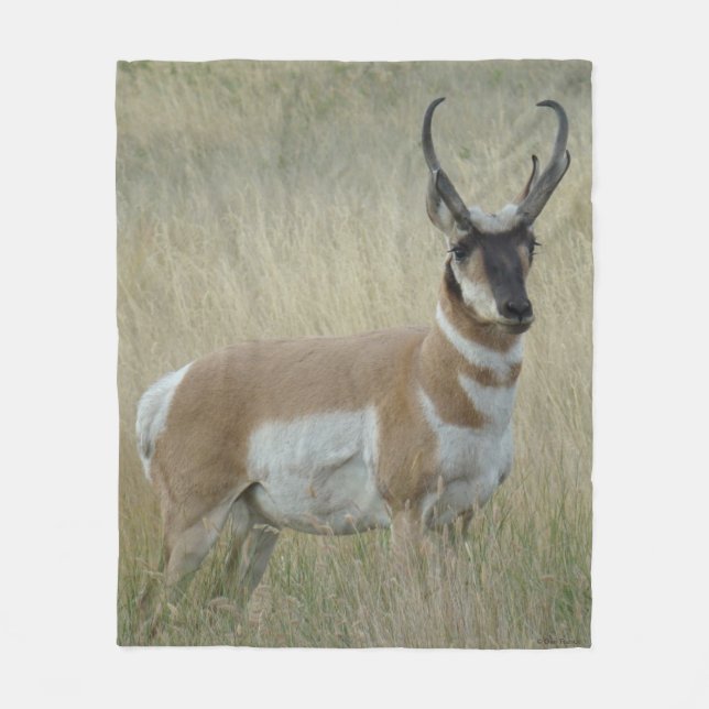 A9 Pronghorn Antelope Big Buck Fleece Blanket (Front)