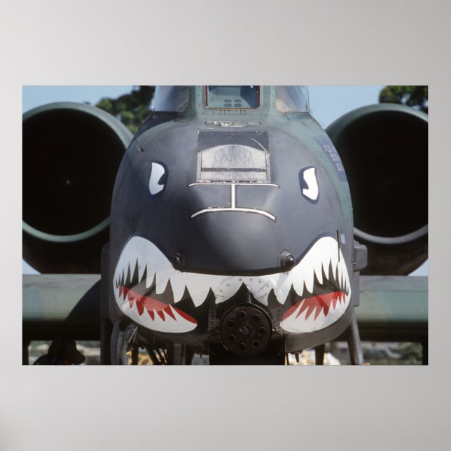 A-10 Thunderbolt II Poster (Front)
