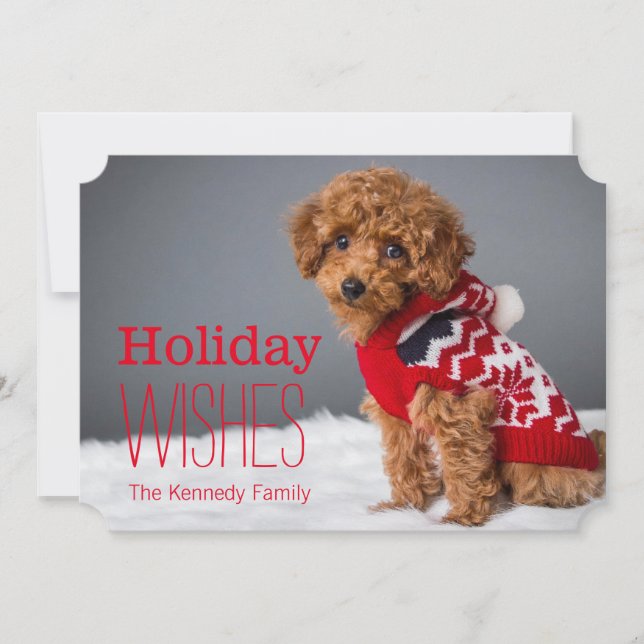 A 10 week old toy poodle holiday card (Front)