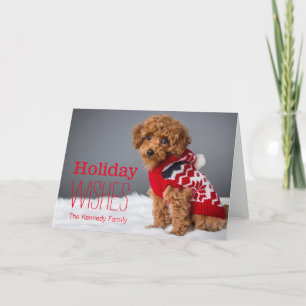 A 10 week old toy poodle holiday card