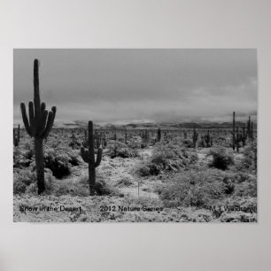 A 1 Print Snow in The Desert  Nature Series 2012