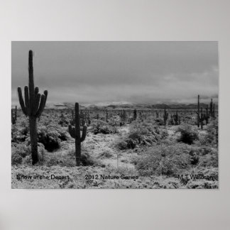 A 1 Print Snow in The Desert  Nature Series 2012