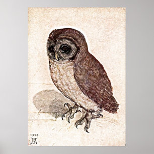 A 500 Year Old Drawing Poster