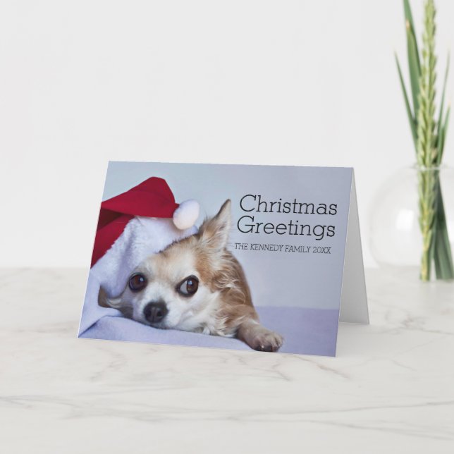 A 6 year old long hair chihuahua holiday card (Front)