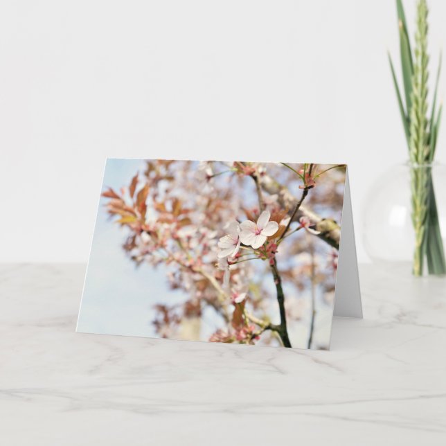 A 7 x 5'' blank greeting card (Front)