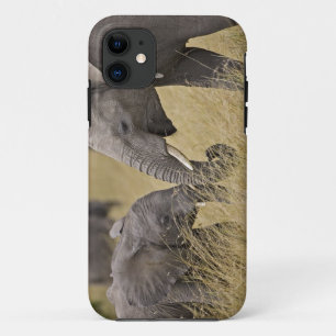 A African Elephant grazing in the fields iPhone 11 Case