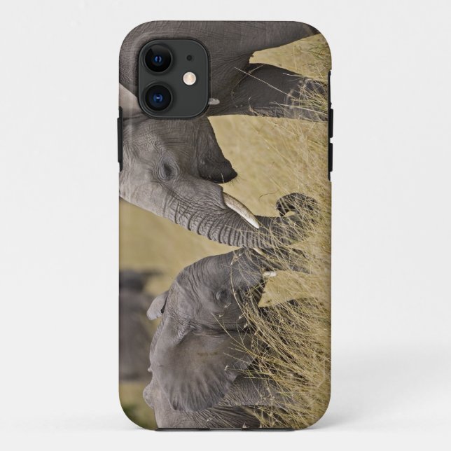 A African Elephant grazing in the fields Case-Mate iPhone Case (Back)