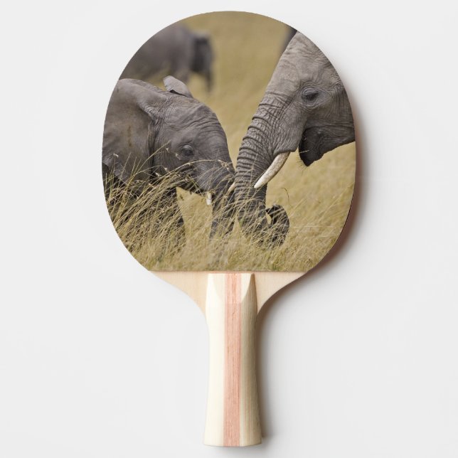 A African Elephant grazing in the fields Ping Pong Paddle (Front)