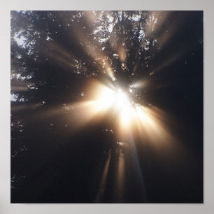 A Angel Or God? Print