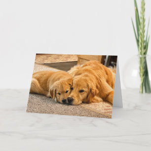 A&B Blank Greeting #2 Card
