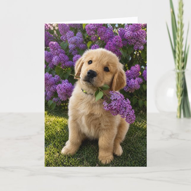 A&B Blank Greeting Card #4a (Front)