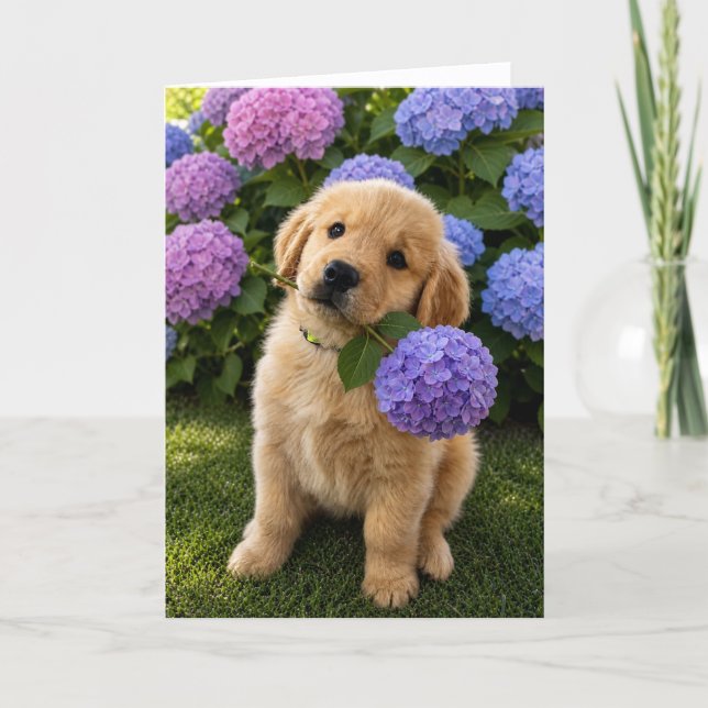 A&B Blank Greeting Card  #4d (Front)