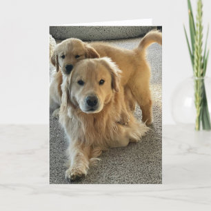A&B Blank Greeting Card #5