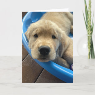 A&B Thinking of You Greeting Card #11