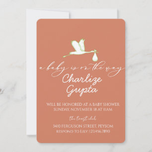 A Baby Is on the Way Baby Shower Invitation