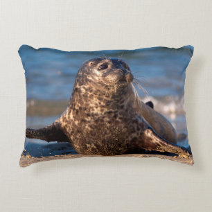 A baby seal coming ashore in Children's Pool Decorative Cushion