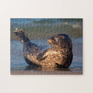 A baby seal lifting it's tail jigsaw puzzle