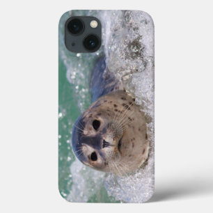 A baby seal surfing iPhone 13 case