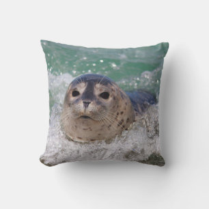 A baby seal surfing cushion