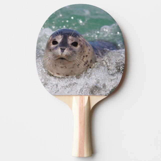A baby seal surfing ping pong paddle (Front)