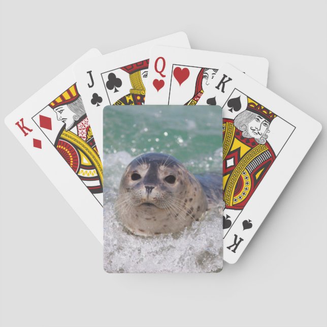 A baby seal surfing playing cards (Back)