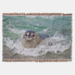 A baby seal surfing throw blanket