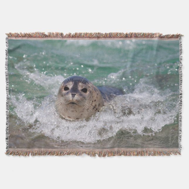 A baby seal surfing throw blanket (Front)