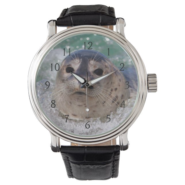 A baby seal surfing watch (Front)