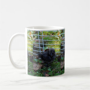 A Baby Silkie Coffee Mug