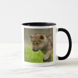 A baby wolf mug