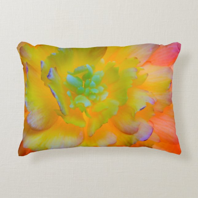 A back-lit, glowing begonia blossom decorative cushion (Front)