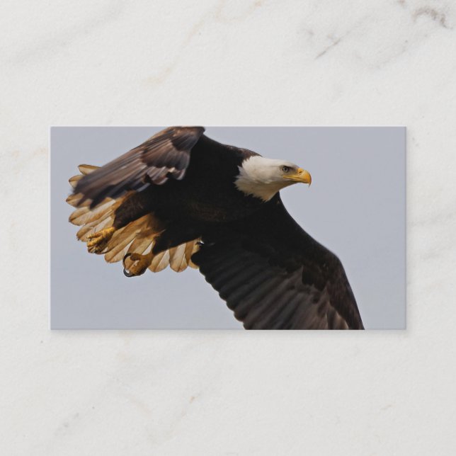 A Bald Eagle Takes to the Sky Business Card (Front)