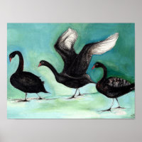 A ballet of Black Swans 2013