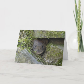 A Bank vole in a hole. Card