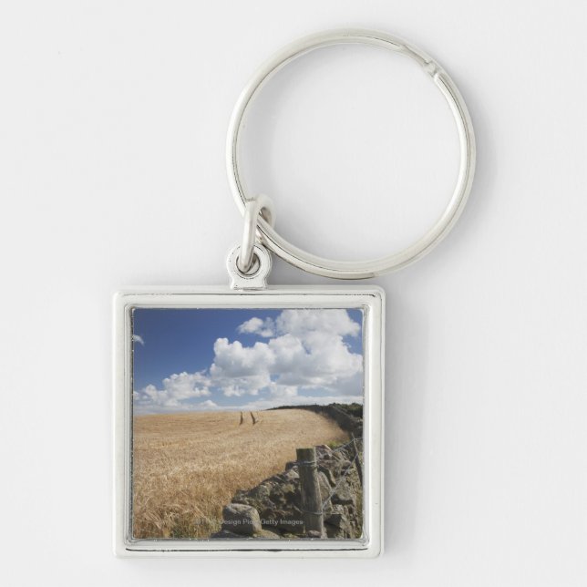 A Barbed Wire Fence Built Along A Stone Fence Key Ring (Front)