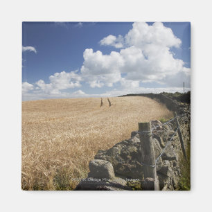 A Barbed Wire Fence Built Along A Stone Fence Magnet