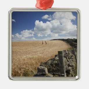 A Barbed Wire Fence Built Along A Stone Fence Metal Tree Decoration