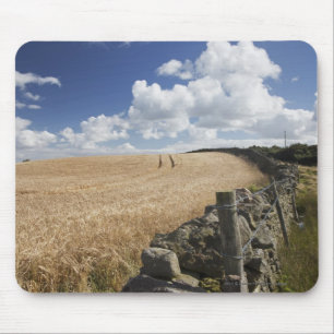 A Barbed Wire Fence Built Along A Stone Fence Mouse Mat