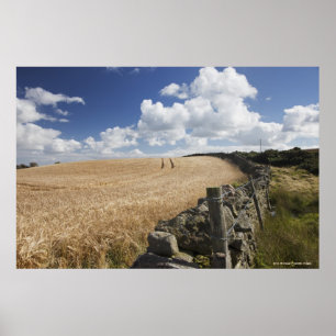 A Barbed Wire Fence Built Along A Stone Fence Poster