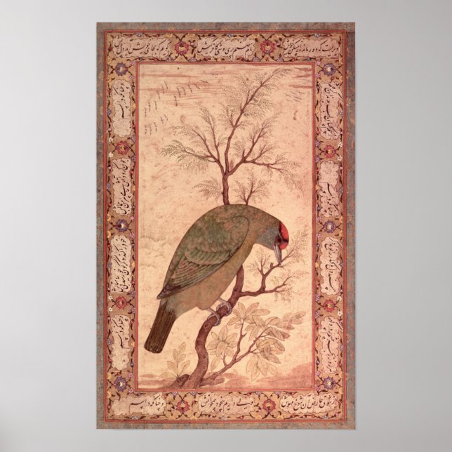 A Barbet  Jahangir Period, Mughal, 1615 Poster (Front)