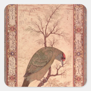 A Barbet  Jahangir Period, Mughal, 1615 Square Sticker