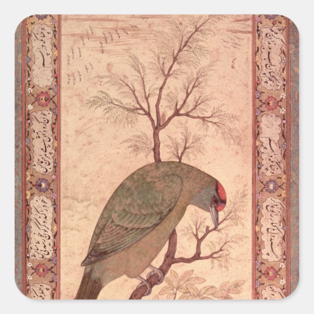 A Barbet  Jahangir Period, Mughal, 1615 Square Sticker (Front)