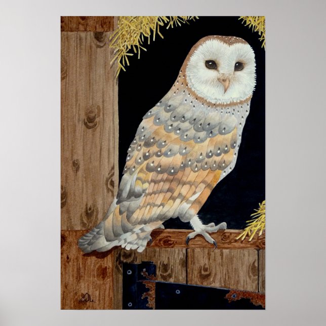 A Barn Owl rests on a barn door Poster (Front)
