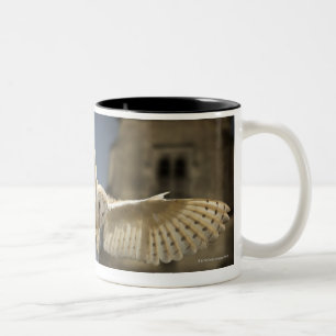 A Barn Owl (Tyto alba) in a graveyard in North Two-Tone Coffee Mug
