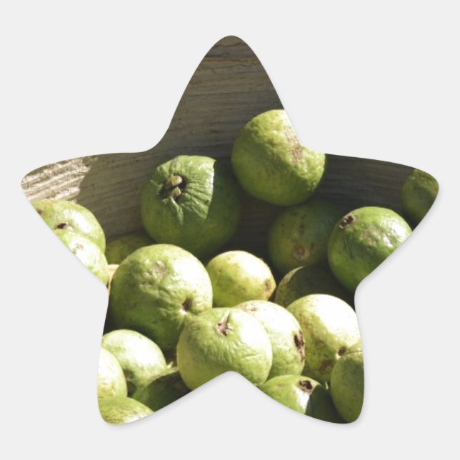 A basket full of guavas star sticker (Front)