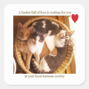 A basket full of love is waiting for you #2... square sticker