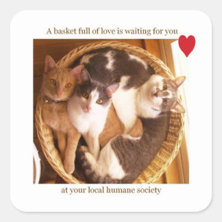A basket full of love is waiting for you #2... square sticker