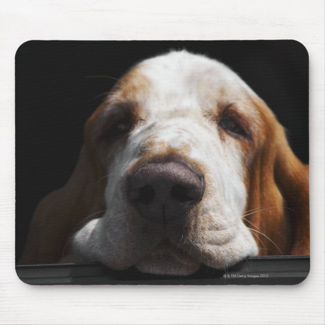 A Basset Hound resting his head Mouse Mat (Front)